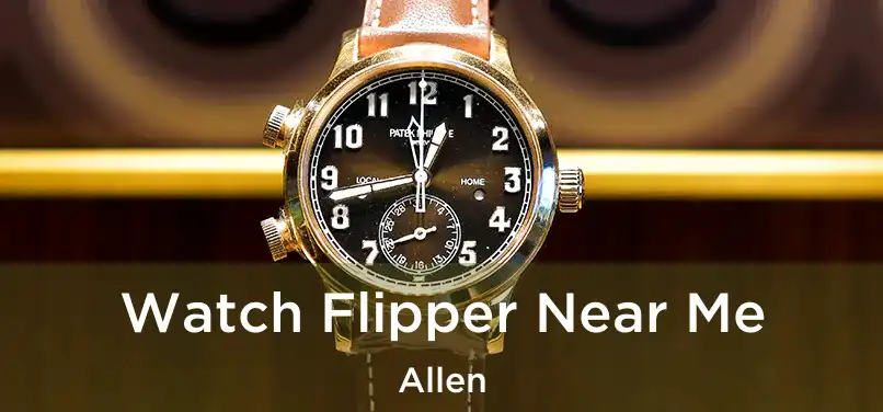 Watch Flipper Near Me Allen